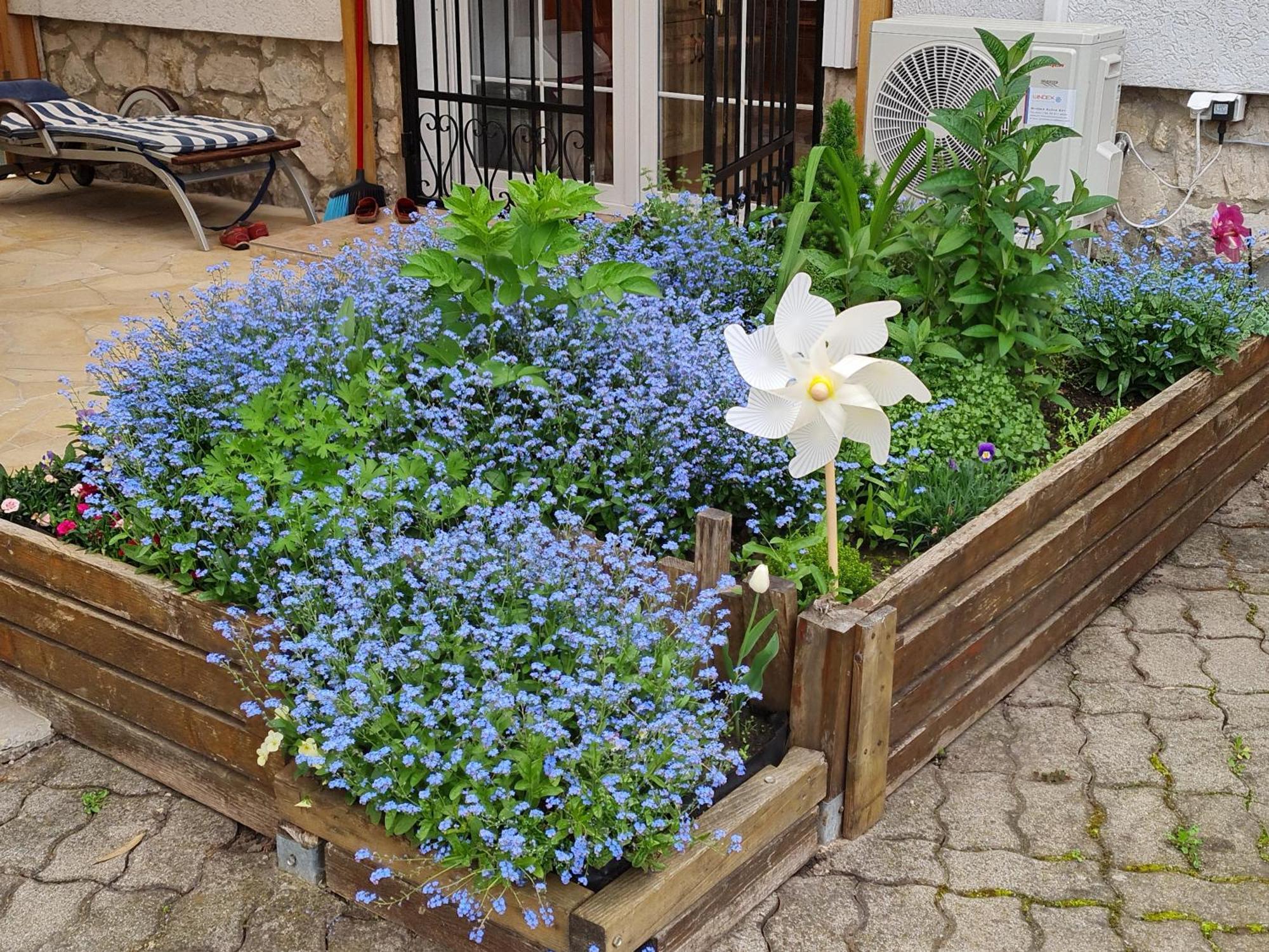 קסזטלי Ginger House Apartment מראה חיצוני תמונה